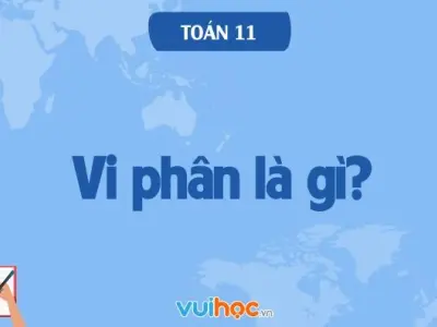 Vi phân là gì và hướng dẫn giải các bài toán ứng dụng chi tiết