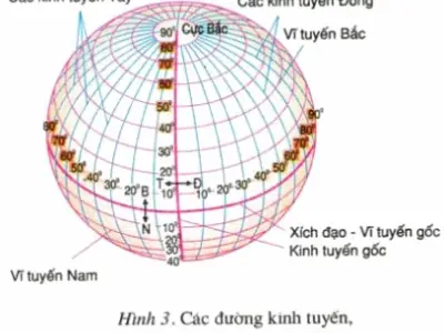 Vĩ tuyến là gì và những kiến thức địa lý cơ bản cần nắm rõ