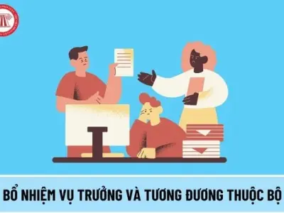 Vụ trưởng là gì và tiêu chuẩn bổ nhiệm chức vụ mới nhất