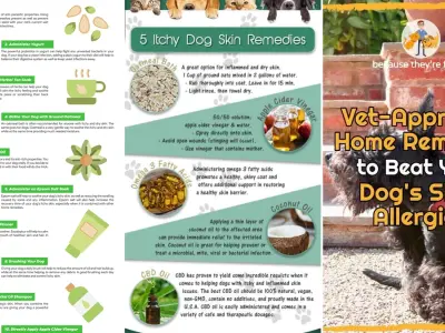 Complete guide to natural remedies for dog allergies and itchy skin