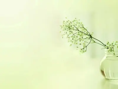 Hình nền màu xanh lá cây đẹp nhẹ nhàng, độc đáo và ấn tượng